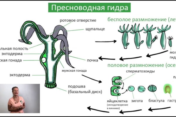 Кракен сайт как выглядит