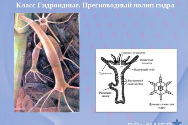 Как зайти в кракен с андроида